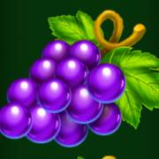 Wild Traces: Grapes