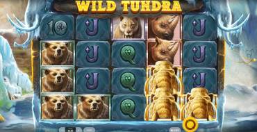 Wild Tundra: Slot machine