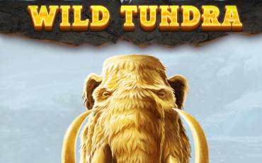 Wild Tundra slot online