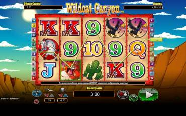 Wildcat Canyon slot online