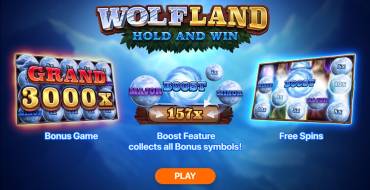 Wolf Land: Hold and Win: Unique features