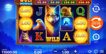 Wolf Power: Hold and Win: Slot machine