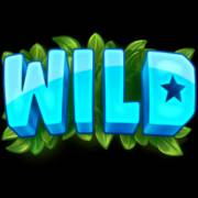 Wonder Woods: Wild