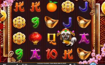 Year of the Dog slot online