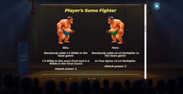 Yokozuna Clash: Battles