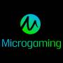 Microgaming Provider